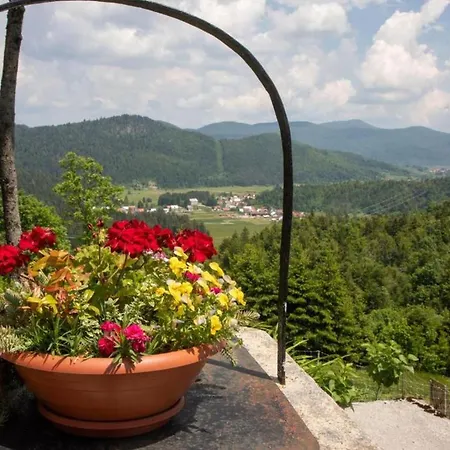 Vikendica House Zeleni Brig *