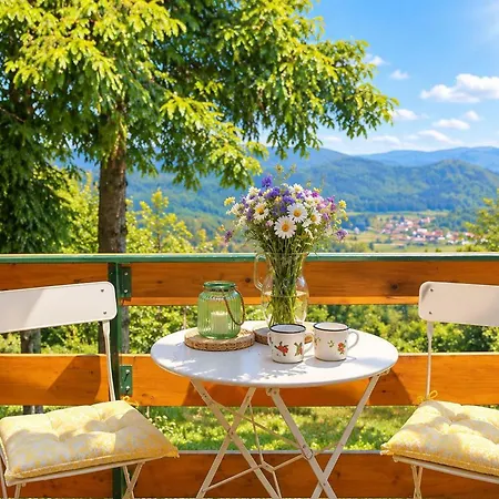 House Zeleni Brig